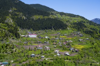 Rural houses on a green hill in front of wooded mountains, Paksadzeebi, Ajara region, Ajara,