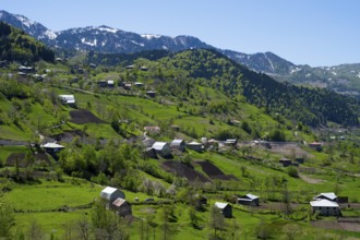 Rural settlement with scattered houses in a green mountain landscape, on the way to the Goderdzi