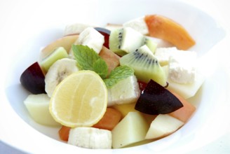 Fresh fruit salad with lemon, banana, papaya, kiwi, plums, melon and mint leaves in a bowl, Palace