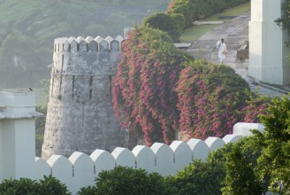 Hotel worker next to bougainvillea covered defensive defence tower in morning light, Devigarh