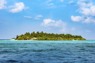 Symbolic picture dream island holiday island deserted island with palm trees coconut trees (Cocos