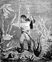 Diver on the seabed, depth, diving suit, oxygen mask, hose, lamp, seaweed, animals, fish, algae,