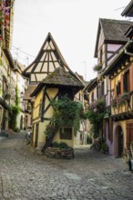 Picturesque village with half-timbered houses, Eguisheim, Haut-Rhin, Alsace, France