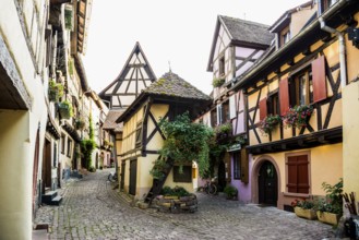 Picturesque village with half-timbered houses, Eguisheim, Haut-Rhin, Alsace, France