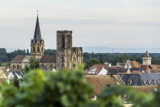 Rouffach, Haut-Rhin Department, Alsace, France