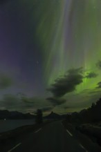 Road in the northern lights at dawn over Sørfolda Fjord near Kjerringøy between Bodø and Sørfold in