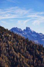 Trattberg Alm with view of the Dachstein massif with Bischofsmütze, Osterhorn Group, Salzkammergut,