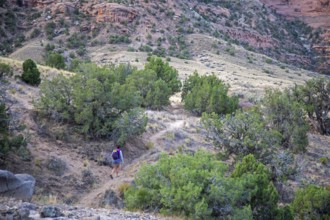 Loma, Colorado - A woman walks along a trail in Ruby Canyon, part of a three-day river rafting trip