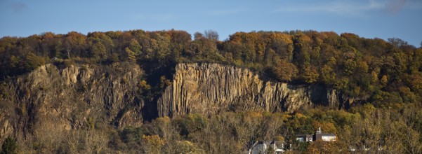 Rock wall with exposed basalt layers from the quarry, Kuckstein am Berg Ennert, Oberkassel, Bonn,