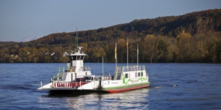 The Konrad Adenauer Rhine ferries on the Rhine from Bad Godesberg to Königswinter-Niederdollendorf,
