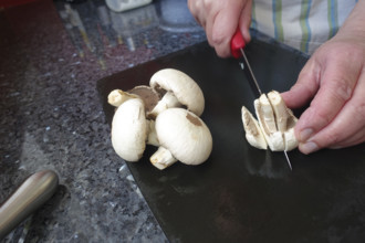 Southern German cuisine, preparing mushrooms, raw mushrooms, cutting, kitchen knife, men's hands,