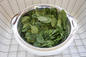 Southern German cuisine, preparing spinach vegetables, spinach washing, salad strainer, stainless