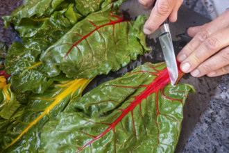Southern German cuisine, preparing chard, cleaning vegetables, kitchen knife, vegetarian, vegan,