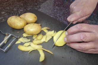 Southern German cuisine, preparing potatoes, cutting raw potatoes, peeling knife, kitchen knife,