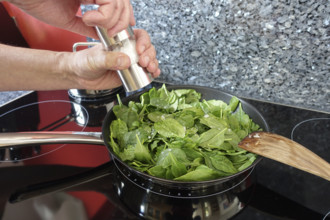 Southern German cuisine, preparation of spinach, pan, salt mill, seasoning, sauté, stove, ceramic