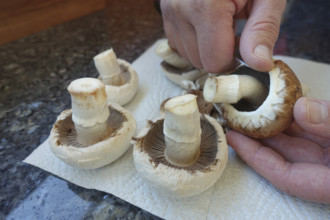 Southern German cuisine, preparing mushrooms, raw mushrooms, cleaning, cutting, kitchen knife,
