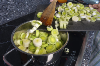 Southern German cuisine, preparation of leek vegetables, sauté leeks, cooking pot, stove, ceramic