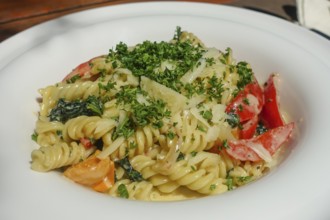 Spiral noodles, fusilli, noodle dish of the day, spinach, cherry tomatoes, cocktail tomatoes, vine