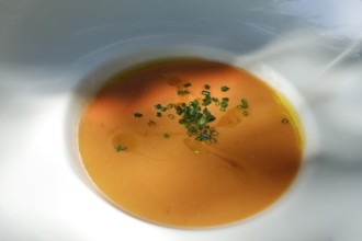 Gazpacho, gaspacho, cold vegetable soup, tomato soup, southern Spanish and Portuguese soup,