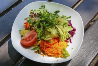 Small colorful salad, starter salad, tomato, grated carrot, green lettuce leaves, red cabbage,