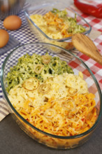 Swabian cuisine, spaetzle casserole, three types of spaetzle baked with cheese, classic spaetzle,