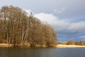 Spring atmosphere with cloudy skies and sunshine over a quiet river, Peenetal nature park Park,