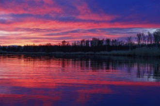 Colourful sunset with pink sky and trees reflecting in calm water, Peenetal nature park Park,