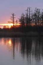 Sunset over a quiet river with silhouette of trees, Peenetal nature park Park, Mecklenburg-Western