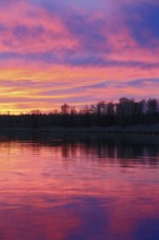 River at sunset with pink-purple sky and trees in the background, Peenetal nature park Park,