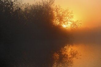 Sunrise over a quiet river, covered in fog and bathed in warm orange, Peenetal nature park Park,
