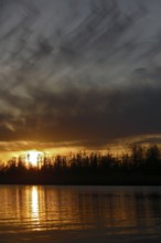 Dramatic sunset with dark sky and golden reflections, Peenetal nature park Park,
