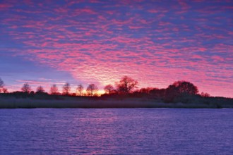 Intense sunset with pink clouds over a river, surrounded by trees, Peenetal nature park Park,