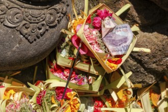 Sacrificial basket (canang) at Tirta Empul hot springs, Bali, Indonesia