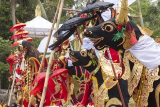 Preparing for a corpse cremation, (Ngaben), Ubud, Bali, Indonesia