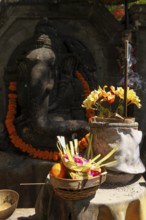 Flowers arranged for beautiful offerings in front of a Ganesha figure, Bali, Indonesia