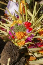 Sacrificial basket (canang) at Tirta Empul hot springs, Bali, Indonesia