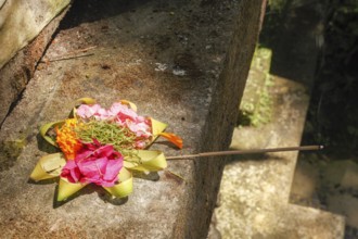 Sacrificial basket (Canang) with incense sticks, Bali, Indonesia