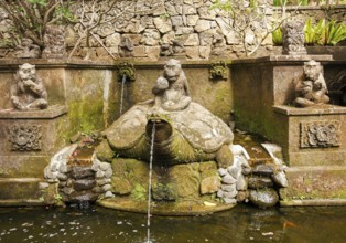 Turtle fountain, Ubud, Bali, Indonesia