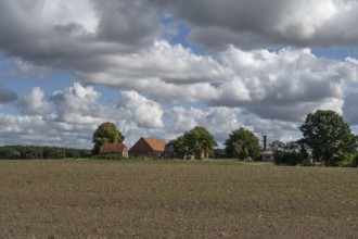 Lonely homestead, cloudy sky, Mecklenburg-Western Pomerania, Germany