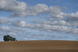 Large, cultivated arable area, cloudy sky, Mecklenburg-Western Pomerania, Germany