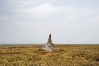Termite hill, Etosha National Park, Namibia