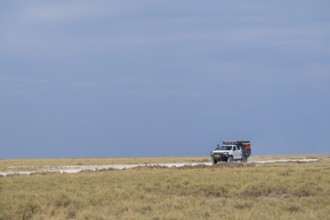 Safari car drives through steppe, Etosha National Park, Namibia