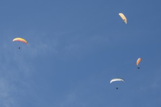 Paragliders in the sky over Brauneck, Bavarian Prealps, Isarwinkel, Lenggries, Upper Bavaria,