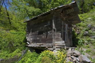 An old wooden hut stands on a rocky hill surrounded by green vegetation and wildflowers, old