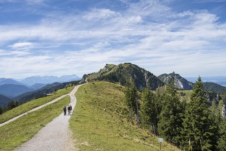 Wanderweg am Brauneck, hinten der Latschenkopf, Bavarian Prealps, Isarwinkel, Lenggries, Upper