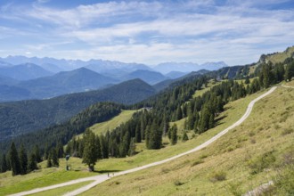 Wanderweg am Brauneck, Bavarian Prealps, Isarwinkel, Lenggries, Upper Bavaria, Bavaria, Germany