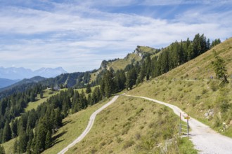 Wanderweg am Brauneck, Wegkreuzung, Bavarian Prealps, Isarwinkel, Lenggries, Upper Bavaria,