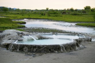 Hot spring pool in nature with horses in the background and a gentle evening light, springs of