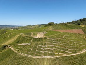 A stone house perches over terraced vineyards under a sunny sky, Y-Burg, Stetten im Remstal,