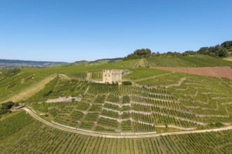 Vineyards spread around a central stone house surrounded by green nature, Y-Burg, Stetten im